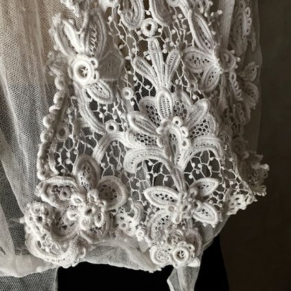 1890~1910's Crocheted lace Blouse18901910ǯ å졼֥饦