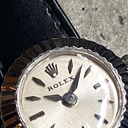 ROLEX CHAMELEON  Orchidʥå 쥪 åɡ18KWG 䥤ǥå