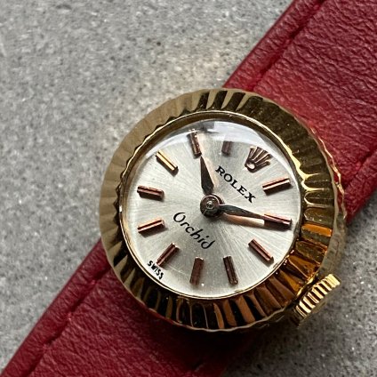 ROLEX CHAMELEON Orchidʥå 쥪 åɡ18KYG ٥