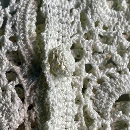 Antique Cotton Clochette Lace No Sleeve（アンティーク