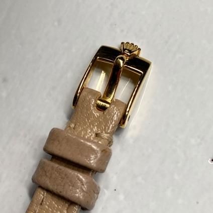 ROLEX CHAMELEON Orchid(ロレックス カメレオン オーキッド ROLEX CHAMELEON Orchid(ロレックス カメレオン オーキッド