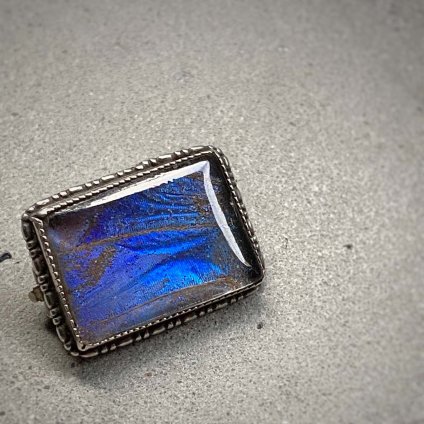 Butterfly wing Silver Brooch（バタフライウィング シルバー ブローチ 