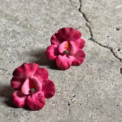  1930-40's Celluloid Viola  Earrings1930-40ǯ  ӥ 󥰡