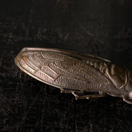 1880s Brass Silver Bcicada Brooch 1880ǯ  С ߥ֥