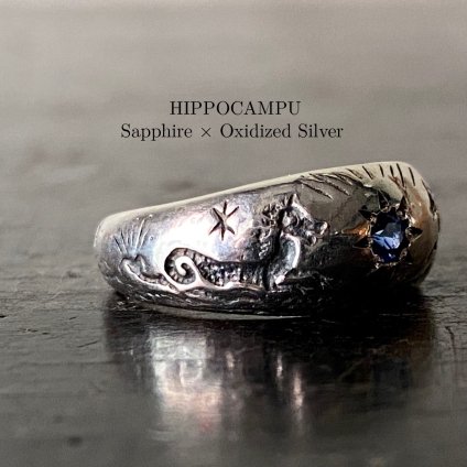 別注 momocreatura  Gypsy Ring（ モモクリアチュラ ジプシーリング）ヒッポカンポス
