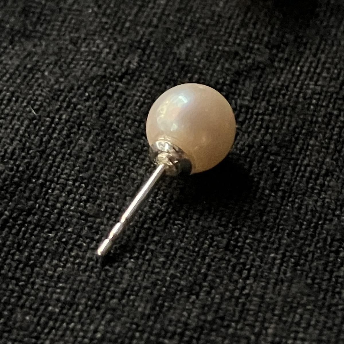 ơ С ѡ åɥԥSilver Pearl Earrings
