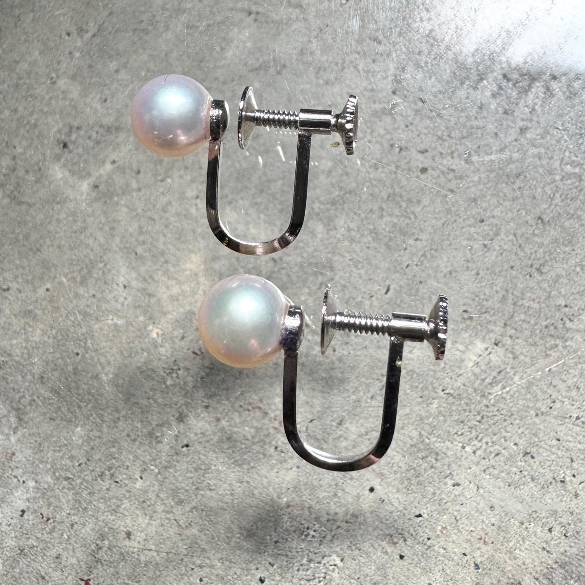 ơ С ѡ 󥰡Silver Pearl Earrings
