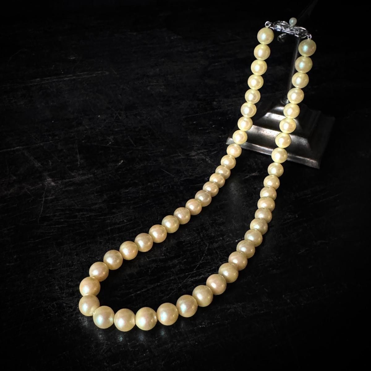 ơ С 饹ѡ ͥå쥹Silver Pearl Necklace˥ܥ󥯥饹