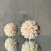 ơ ᥿ øѡ ե󥰡Silver Freshwater Pearl Earrings
