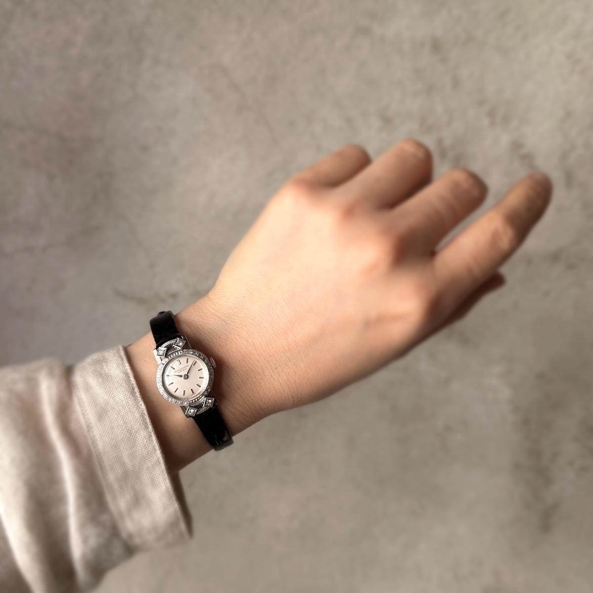 IWCʥ󥿡ʥʥ륦åѥˡ˥ץʥ  롦ǥǥ
