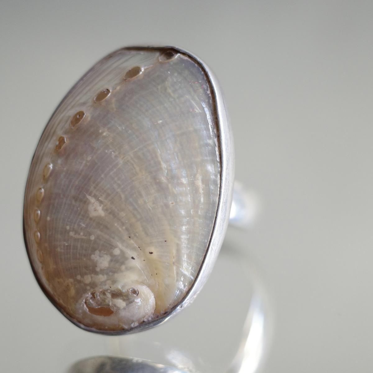 <img class='new_mark_img1' src='https://img.shop-pro.jp/img/new/icons13.gif' style='border:none;display:inline;margin:0px;padding:0px;width:auto;' />ᥭ С  Mexican Silver Ring Shell