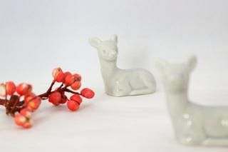 DEER Ⱦ CHIHARU TOKUDA
