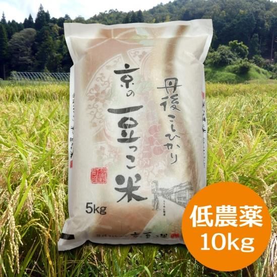 R.6年産 新米🌟 京の豆っこ米（低農薬）10kg - 丹後こしひかり
