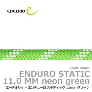 ǥå ǥ塼 ƥå 11mm ꡼ 20m