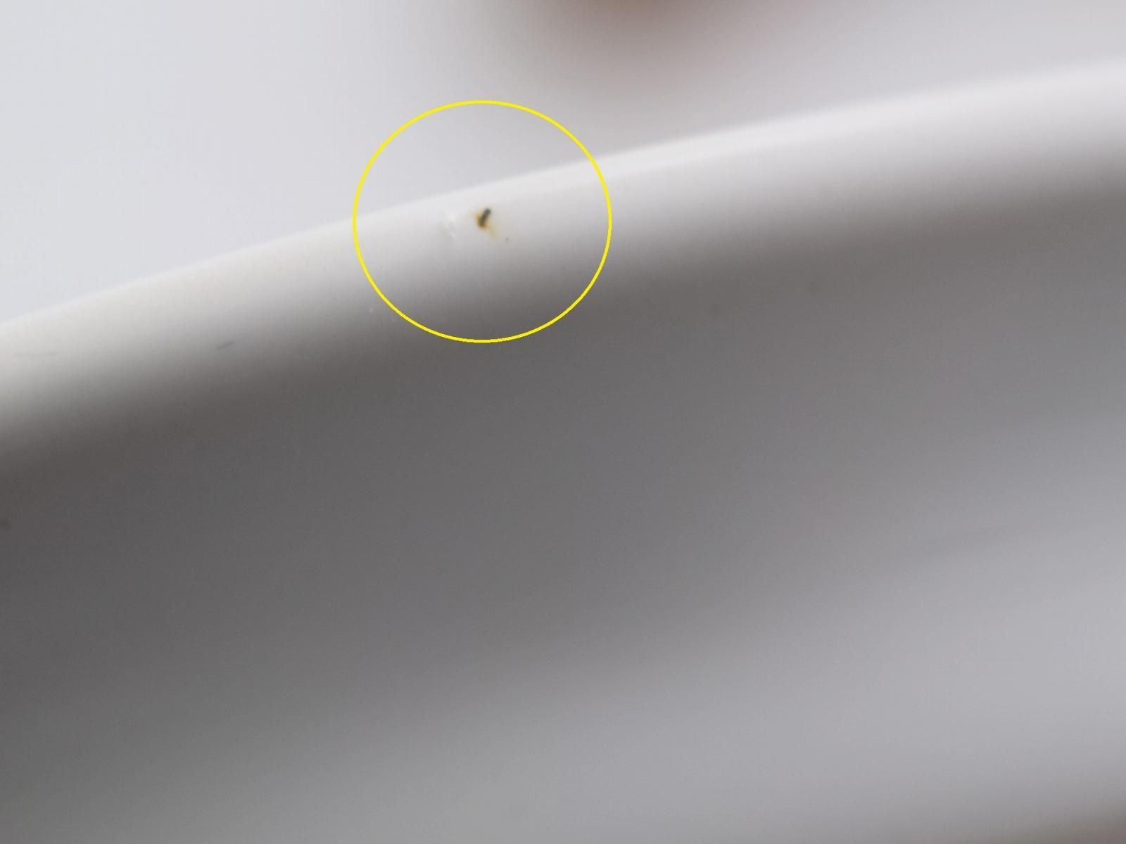 Cordial Palet ターコイズブルー24cm / Quistgaard Cordial Palet ターコイズブルー24cm / Quistgaard