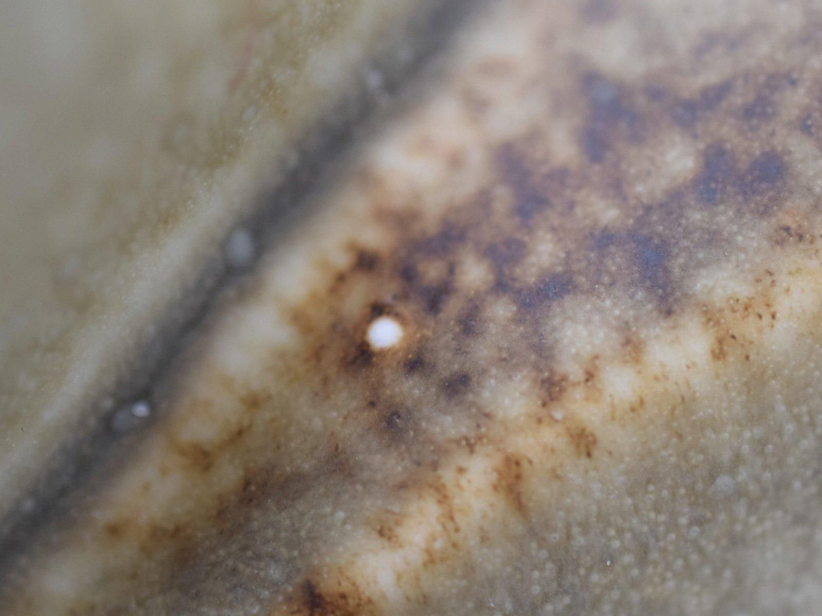 激レア美品　国産Noah's ark SPARK SID 152.5 オガサカ Lisa Larson Gustavsberg Noaks ark Sjolejon ノアの方舟 セイウチ