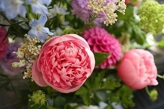 お花屋グリンデル