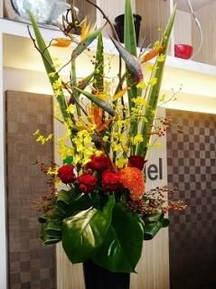 開店 周年祝い 大阪市北区 梅田 西天満 お花屋 Grindel グリンデル フラワーショップ 開店 周年祝い 大阪市北区 梅田 西天満 お花屋 Grindel グリンデル フラワーショップ