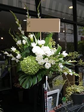 白い胡蝶蘭 スタンド花 スタンド W-060（カラー：ホワイト/ホワイト・グリーン