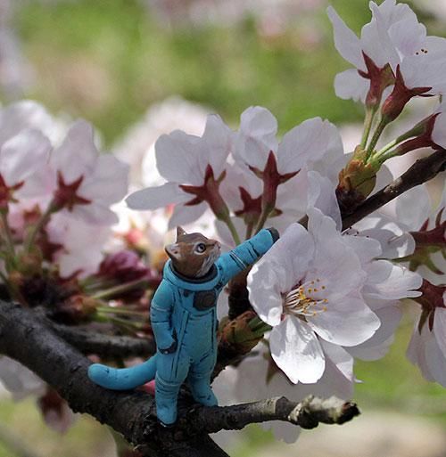 宇宙服ねこ たんぽぽ ver2.0 レジンキット GAS｜文具とプラモの