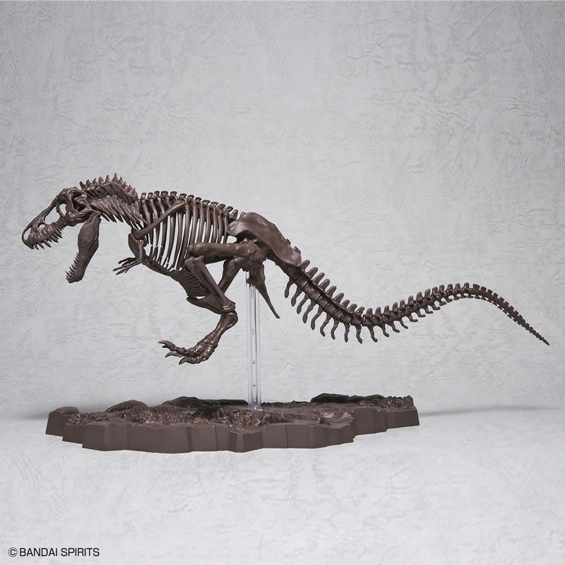 世界に一つ!! ティラノサウルス・レックス 1/10 木彫頭骨模型