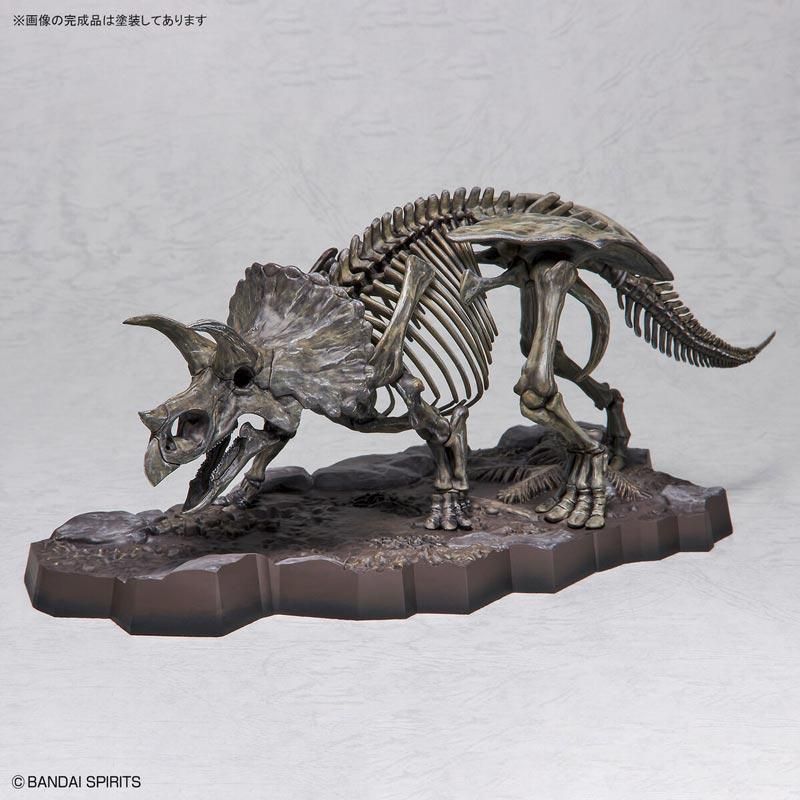 1/32 Imaginary Skeleton トリケラトプス プラモデル バンダイ