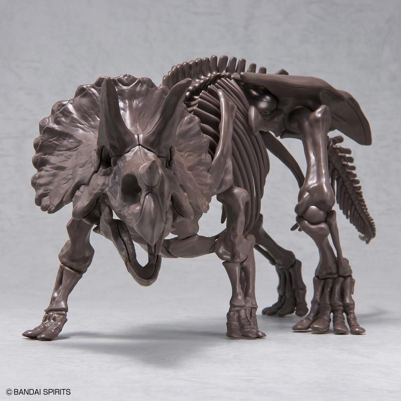 1/32 Imaginary Skeleton トリケラトプス プラモデル バンダイ