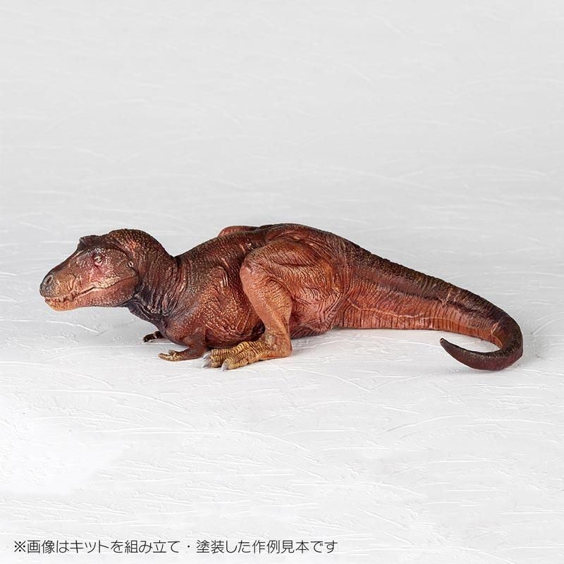 ティラノサウルス 組み立て式 未塗装模型 Amazon | 海洋堂 アートプラ ARTPLA ティラノサウルス (幼体) 1