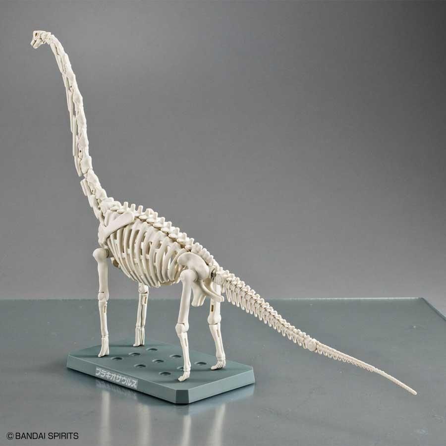 プラノサウルス ブラキオサウルス 恐竜 プラモデル バンダイ プラノサウルス ブラキオサウルス 恐竜 プラモデル バンダイ