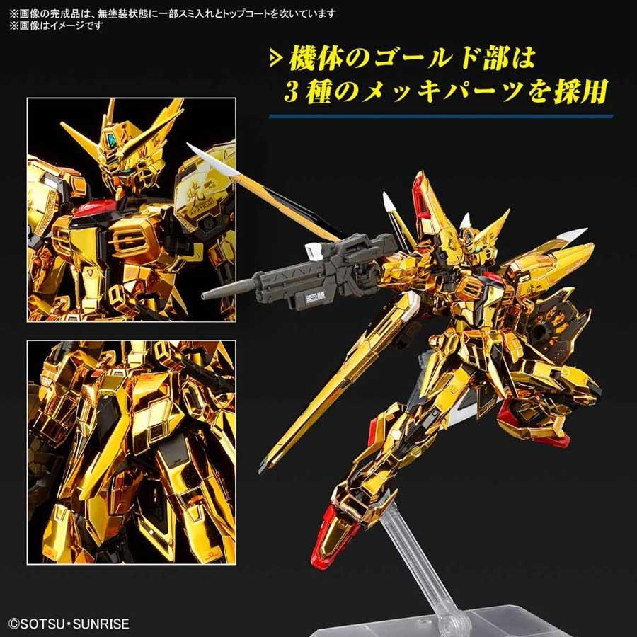 RG 1/144 アカツキガンダム（オオワシ装備） プラモデル