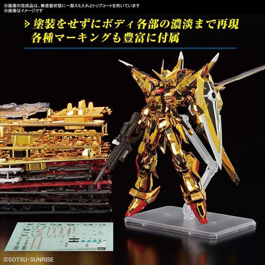 RG 1/144 アカツキガンダム(オオワシ装備) プラモデル RG 1/144 アカツキガンダム(オオワシ装備) プラモデル