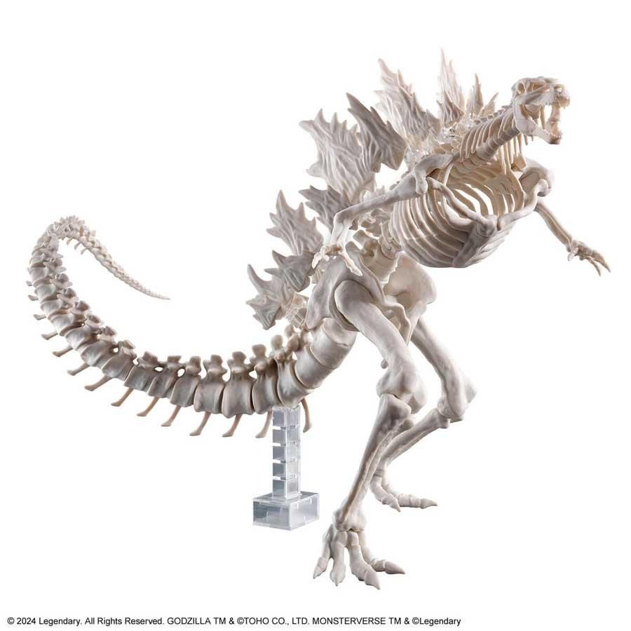 骨格から再現される「怪獣王」！！ゴジラ(2024) from｢ゴジラx