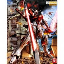 MG 1/100 ɥѥ륹ࡡưΥSEED DESTINY[ץǥ]