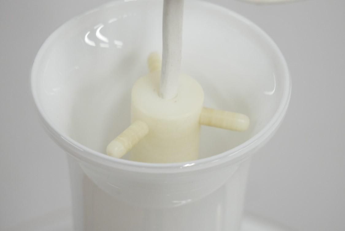 /ۥ६/Mandarin2409-0259