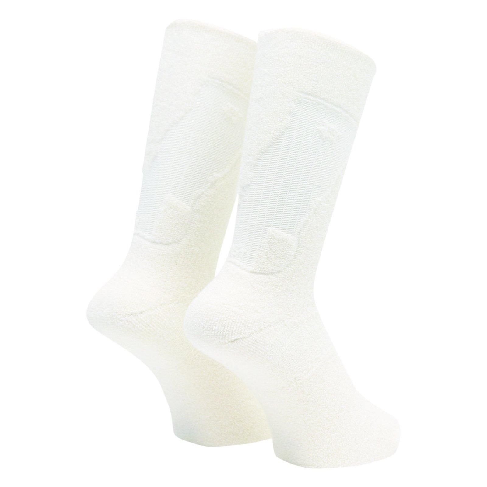 WHIMSY [LOLAS X WHIMSY / BLOOD SOCKS] (2 COLORS)