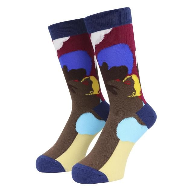 WHIMSY / AFTERNOON DELIGHT SOCKS NAVY
