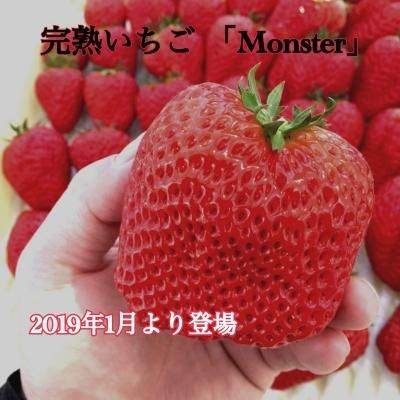 γϤꡡ1200g  繥ɾڤǤ赨2027ǯ1Ϥͽˤʤޤ