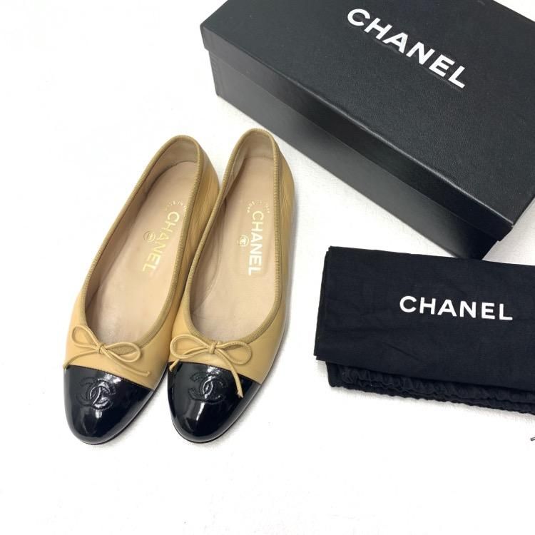 CHANEL ͥ Х꡼ եå ѥץ ١ߥ֥å 36