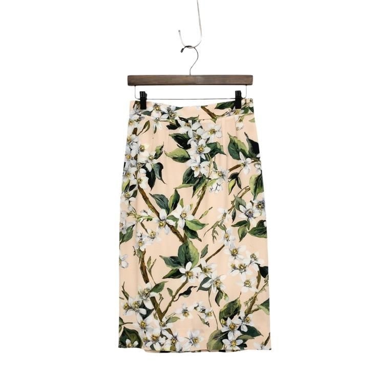 Dolce&Gabbana ɥåС եץ   ԥ 40