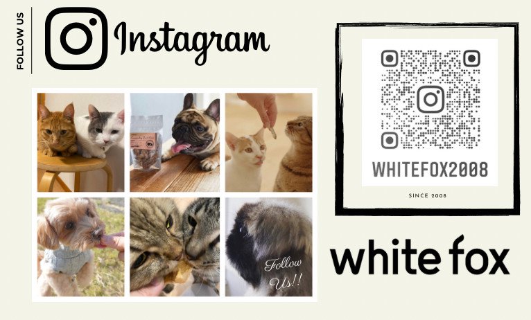 whitefox Instagram QRコード