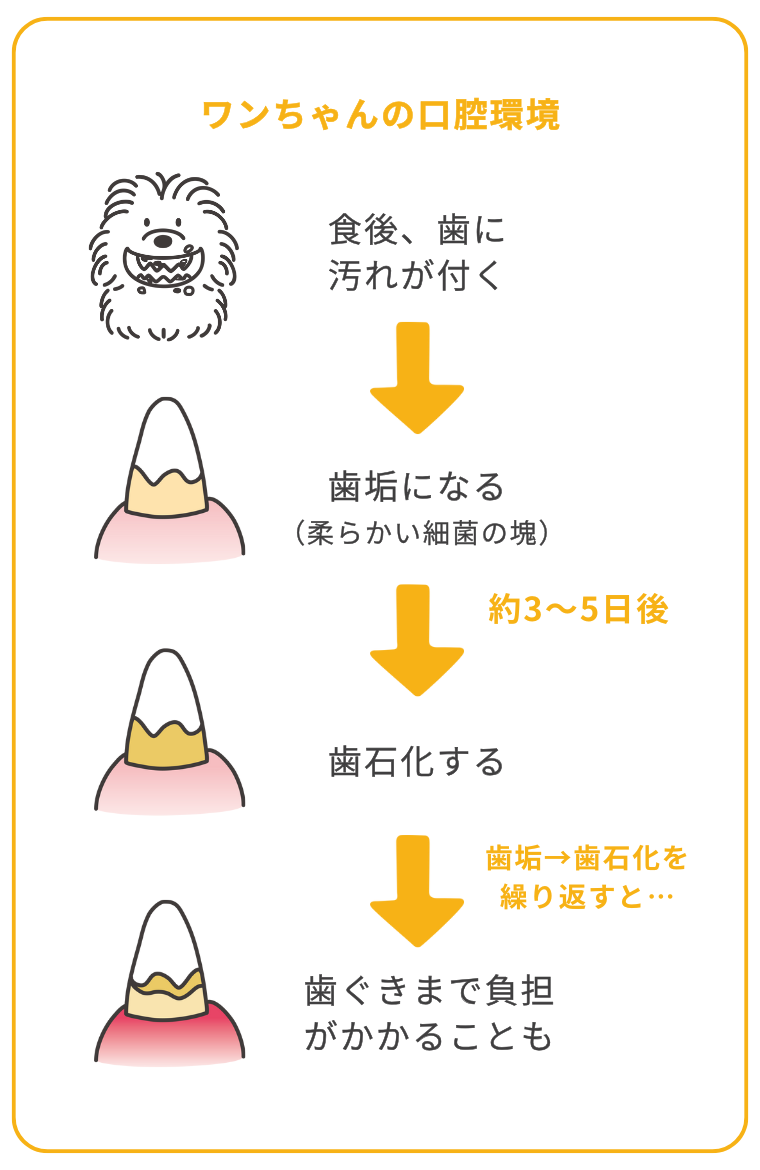¥ï¥ó¤Á¤ã¤ó¤Î¸ý¹Ð