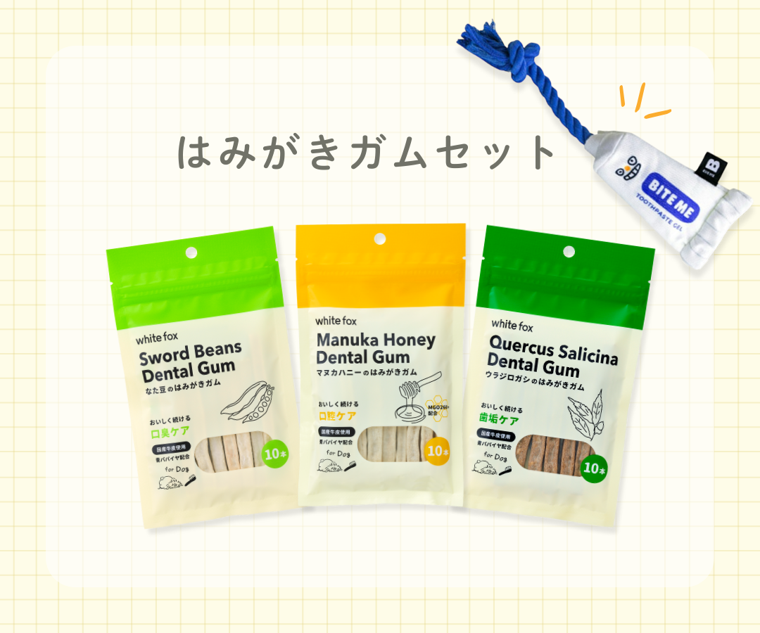 セット紹介