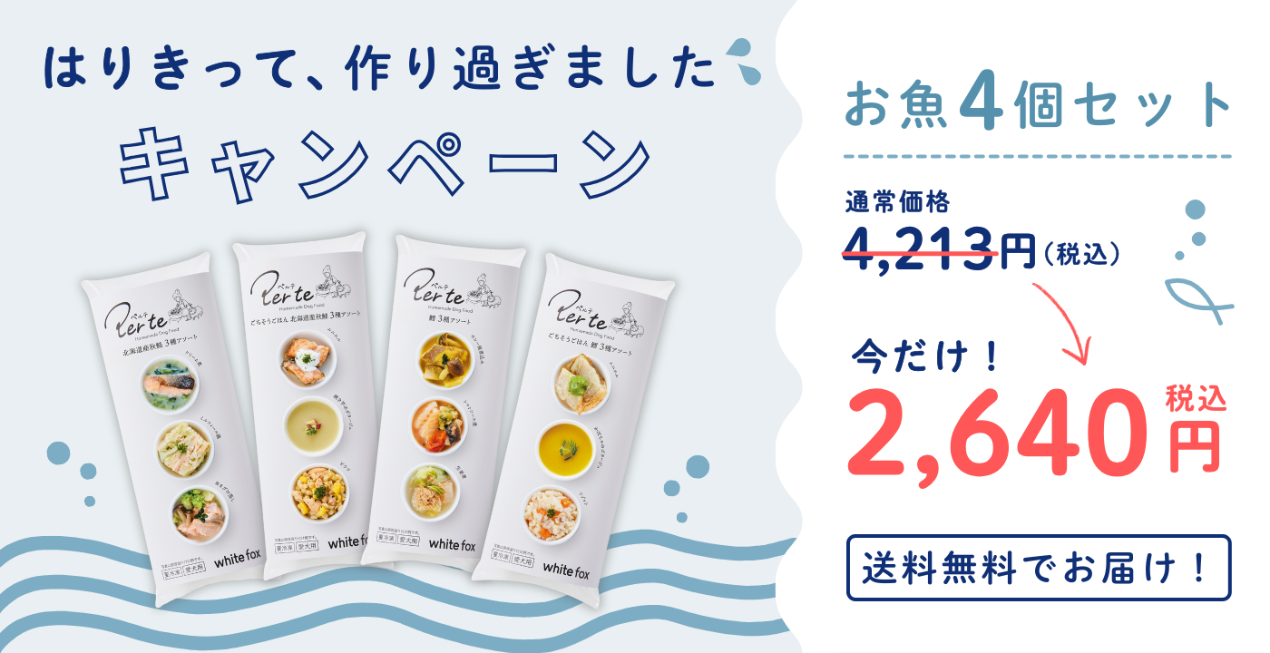 トップ画像