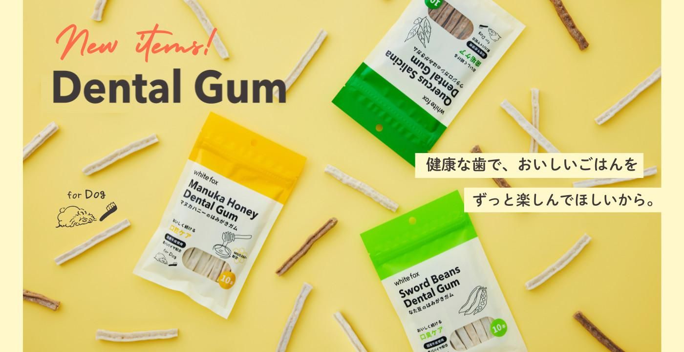 dental gum new arrival