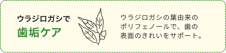 ¤³¤À¤ï¤ê¡¥¦¥é¥¸¥í¥¬¥·