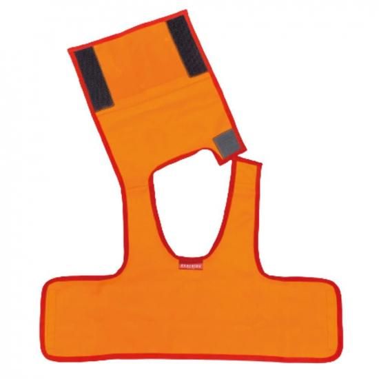 EVACKiDSѥ륮ӥ֥ S49