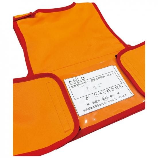 EVACKiDSѥ륮ӥ֥ M49