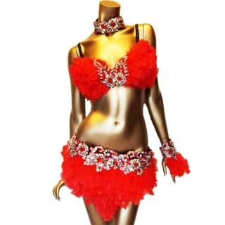 サンバ衣装 リアルフェザー羽 ダンス衣装レッド4点セット