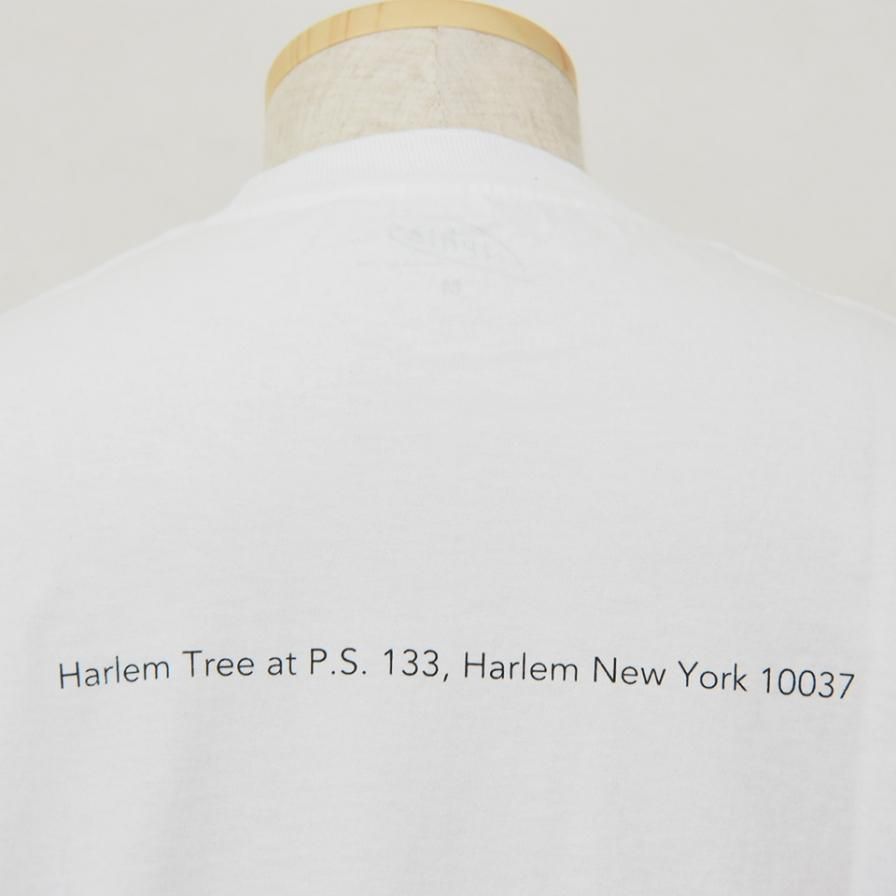 FilPhies - Harlem Tree at P.S. 133,  Harlem New York 10037 - White