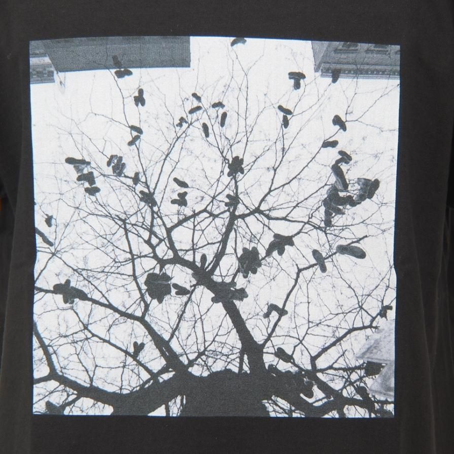 FilPhies - Harlem Tree at P.S. 133,  Harlem New York 10037 - Black